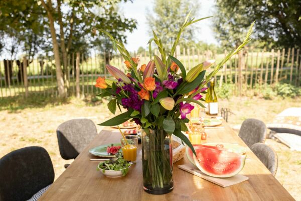 Lidl Shoot Indian Summer 14